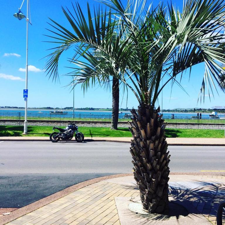 Harbourside City Backpackers Tauranga Buitenkant foto
